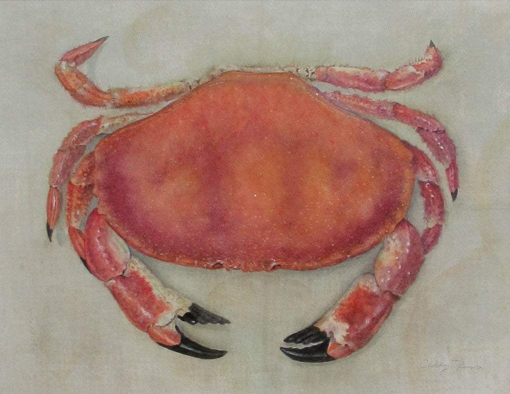 Cathy Ross artwork 'Rock Crab' at Gallery78 Fredericton, New Brunswick