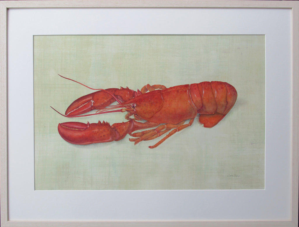 Cathy Ross artwork 'Lobster' at Gallery78 Fredericton, New Brunswick