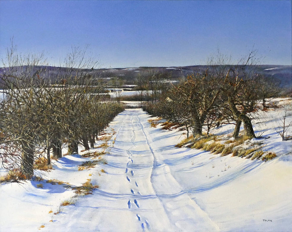 Ken Tolmie artwork 'North Mountain from Raymond's Orchard' at Gallery78 Fredericton, New Brunswick