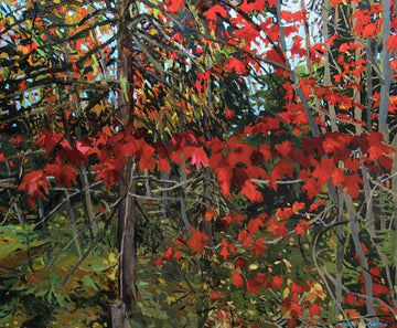Jonathan MacDonald artwork 'Maples in Halcomb' at Gallery78 Fredericton, New Brunswick