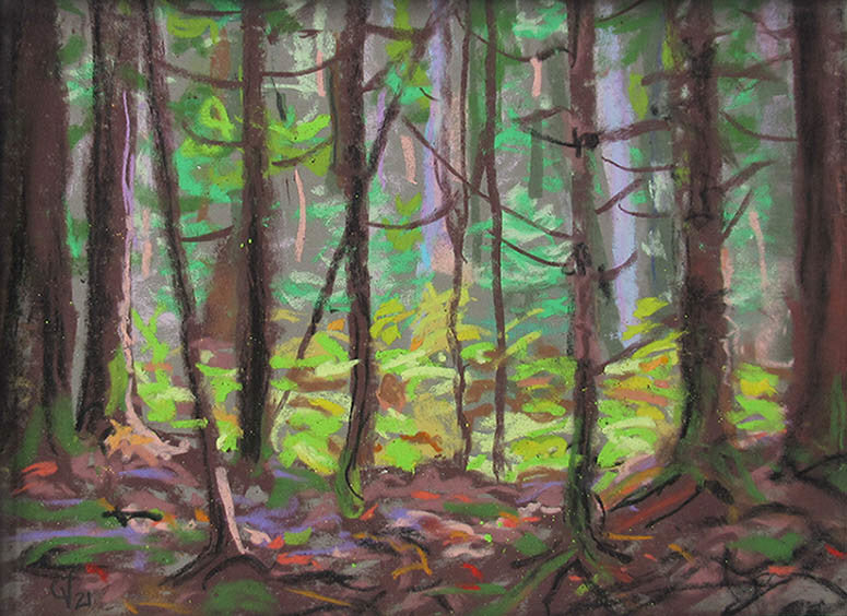 Guy Vézina artwork 'Openings in the Woods' at Gallery78 Fredericton, New Brunswick