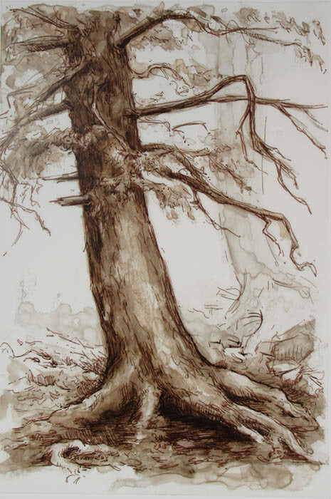 Melissa Kennedy artwork 'Untitled (Tree I)' at Gallery78 Fredericton, New Brunswick
