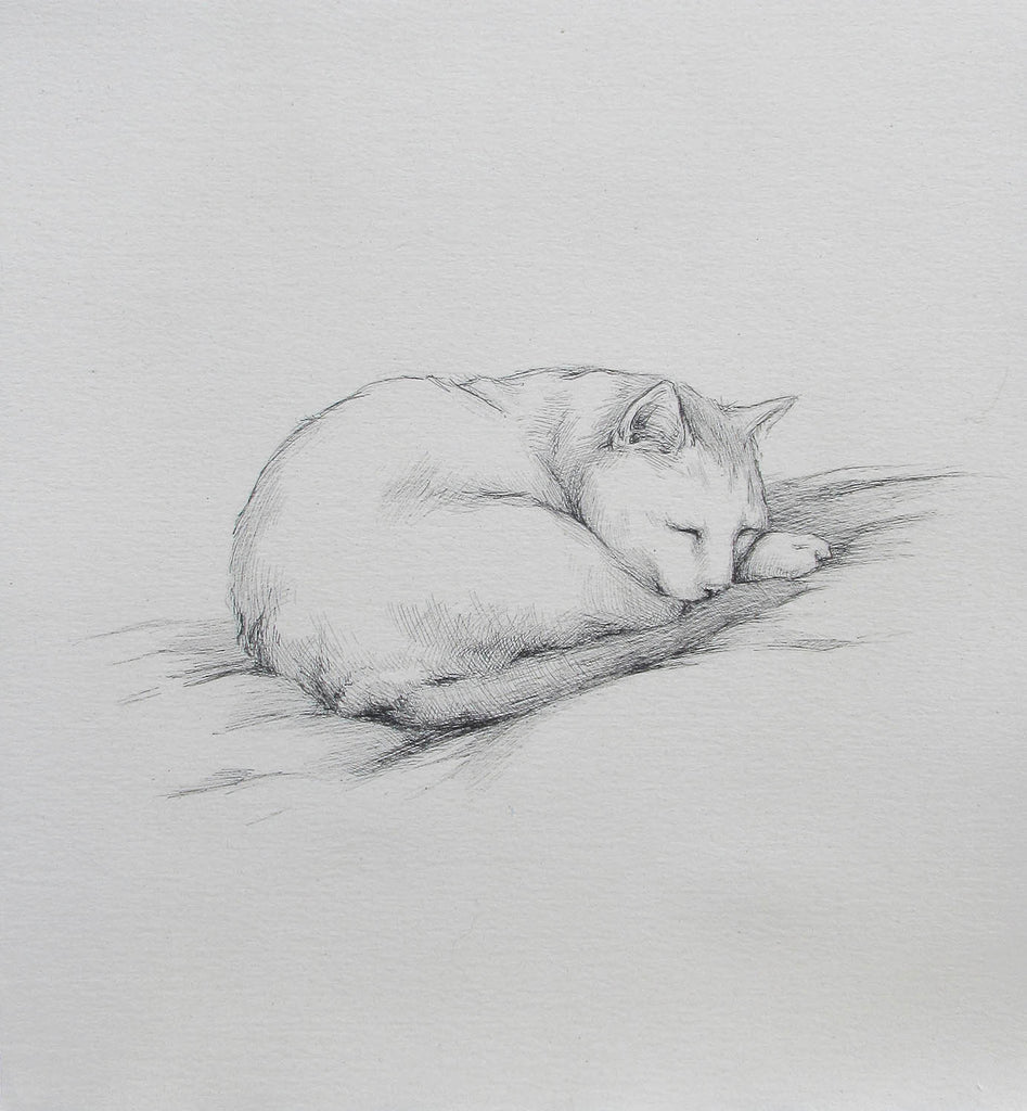 Melissa Kennedy artwork 'Sleeping Cat' at Gallery78 Fredericton, New Brunswick