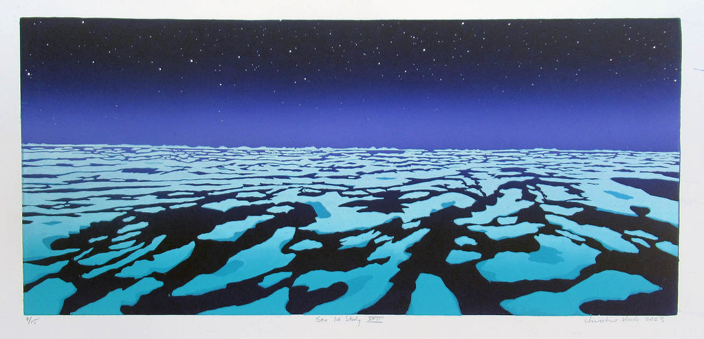 Christine Koch artwork 'Sea ice Study XXII' at Gallery78 Fredericton, New Brunswick