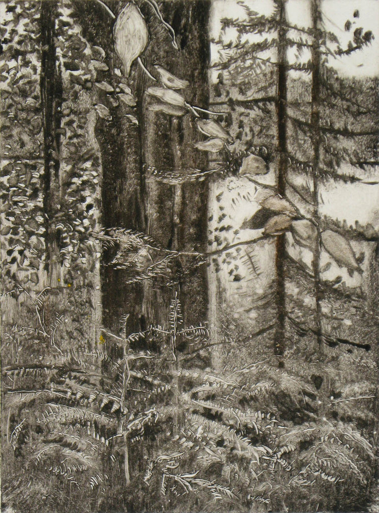 Francis Wishart artwork 'Untitled (Forest)' at Gallery78 Fredericton, New Brunswick