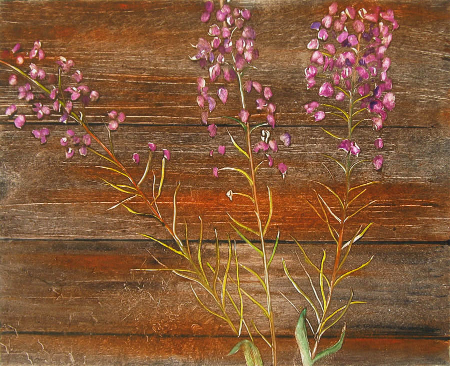 Francis Wishart artwork 'Fireweed' at Gallery78 Fredericton, New Brunswick
