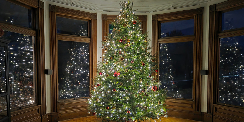 Christmas Choice 2025