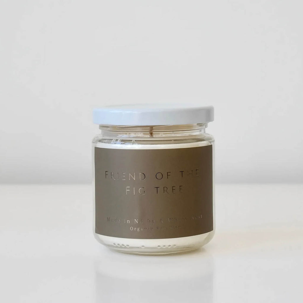 A White Nest artwork 'Friend of the Fig Tree' at Gallery78 Fredericton, New Brunswick