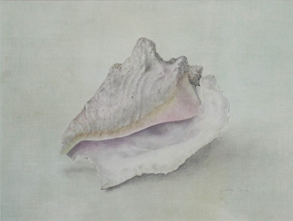 Cathy Ross artwork 'Conch' at Gallery78 Fredericton, New Brunswick