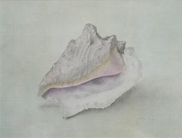 Cathy Ross artwork 'Conch' at Gallery78 Fredericton, New Brunswick