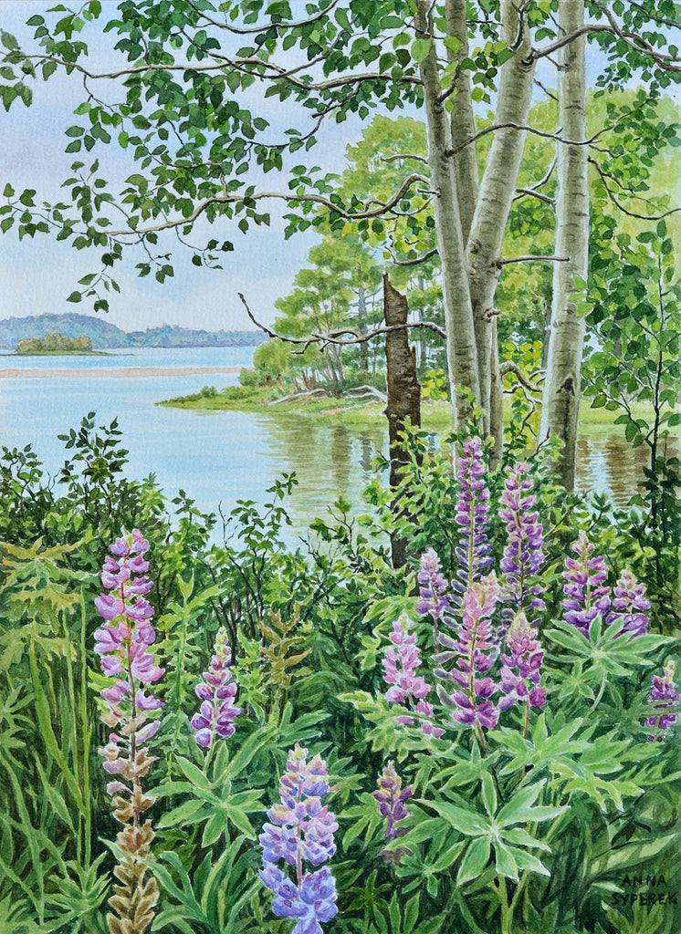 Anna Syperek artwork 'Lupines by the Harbour' at Gallery78 Fredericton, New Brunswick