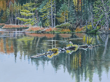 Anna Syperek artwork 'The Beaver Pond' at Gallery78 Fredericton, New Brunswick