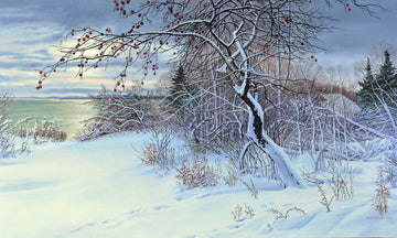 Anna Syperek artwork 'Winter Apples' at Gallery78 Fredericton, New Brunswick