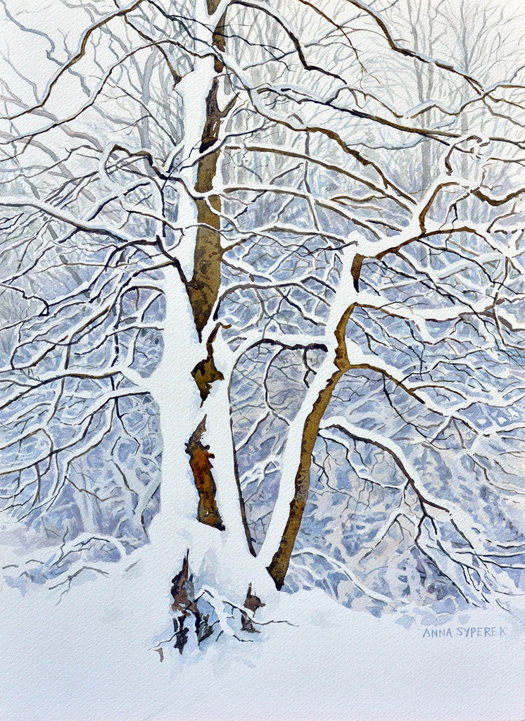 Anna Syperek artwork 'Winter Linden' at Gallery78 Fredericton, New Brunswick