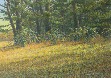 David McKay artwork 'Autumn Whispers' at Gallery78 Fredericton, New Brunswick