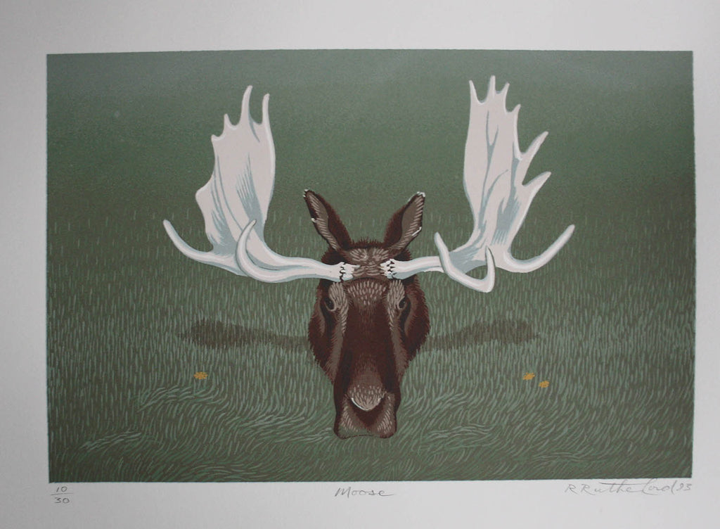 Robert Rutherford artwork 'Moose' at Gallery78 Fredericton, New Brunswick