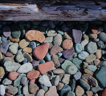 Herzl Kashetsky artwork 'Beach Stones & Driftwood Log' at Gallery78 Fredericton, New Brunswick