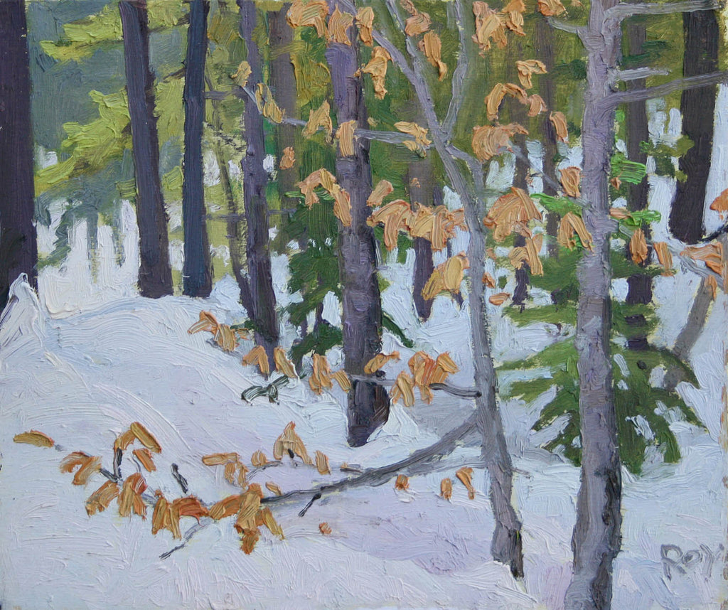 Réjean Roy artwork 'Winter Beech (Sketch)' at Gallery78 Fredericton, New Brunswick