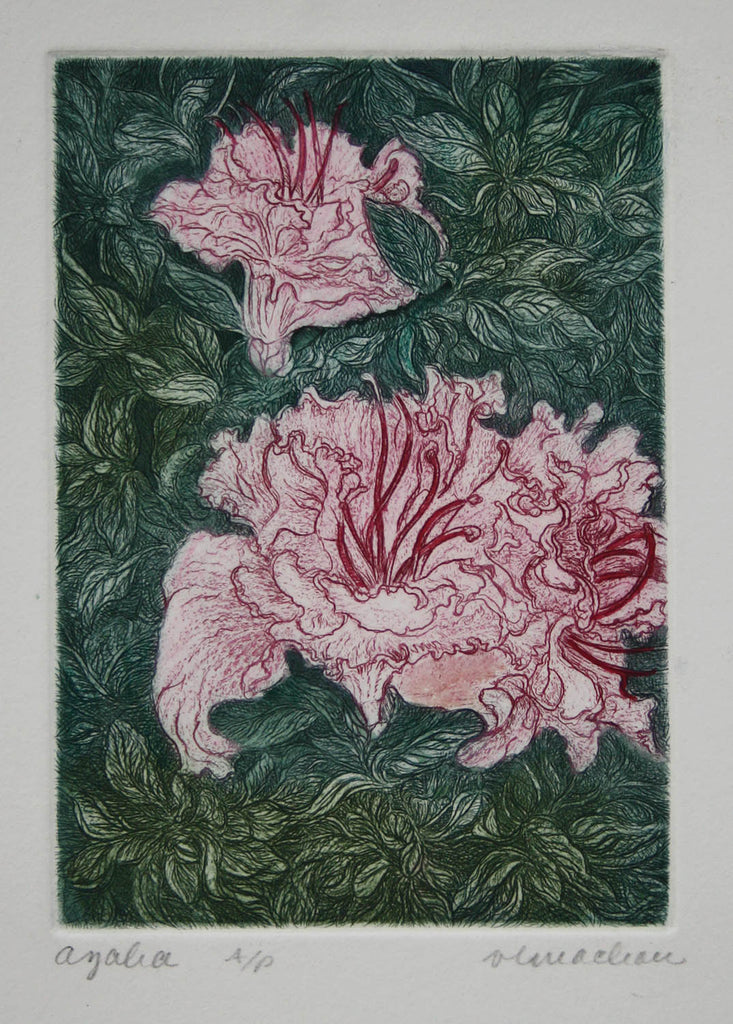 Vicki MacLean artwork 'Azaela I' at Gallery78 Fredericton, New Brunswick