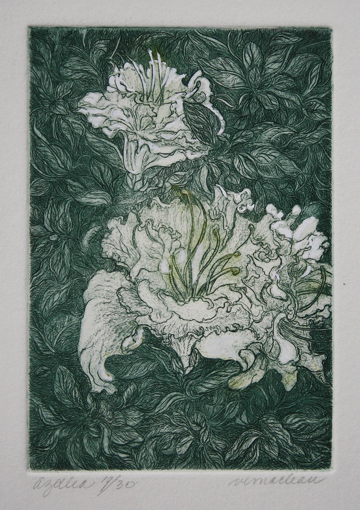 Vicki MacLean artwork 'Azaela II' at Gallery78 Fredericton, New Brunswick