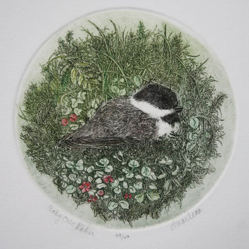 Vicki MacLean artwork 'Baby Chickadee' at Gallery78 Fredericton, New Brunswick