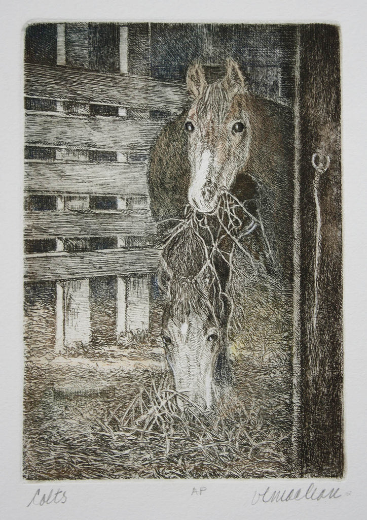 Vicki MacLean artwork 'Colts' at Gallery78 Fredericton, New Brunswick