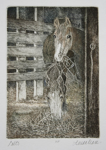 Vicki MacLean artwork 'Colts' at Gallery78 Fredericton, New Brunswick