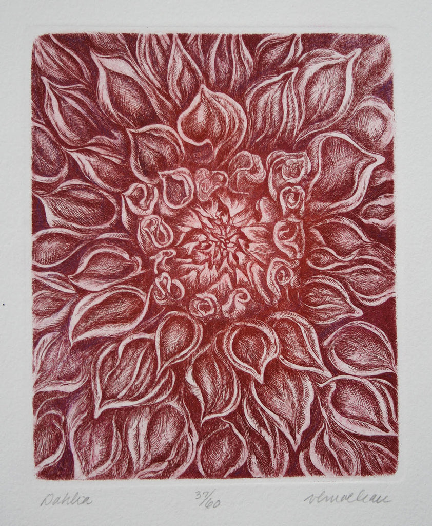 Vicki MacLean artwork 'Dahlia' at Gallery78 Fredericton, New Brunswick