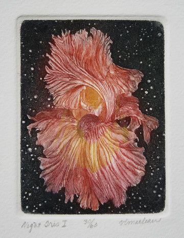 Vicki MacLean artwork 'Night Iris I' at Gallery78 Fredericton, New Brunswick