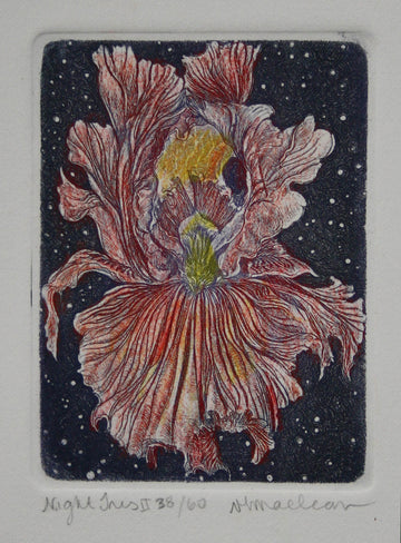 Vicki MacLean artwork 'Night Iris II' at Gallery78 Fredericton, New Brunswick