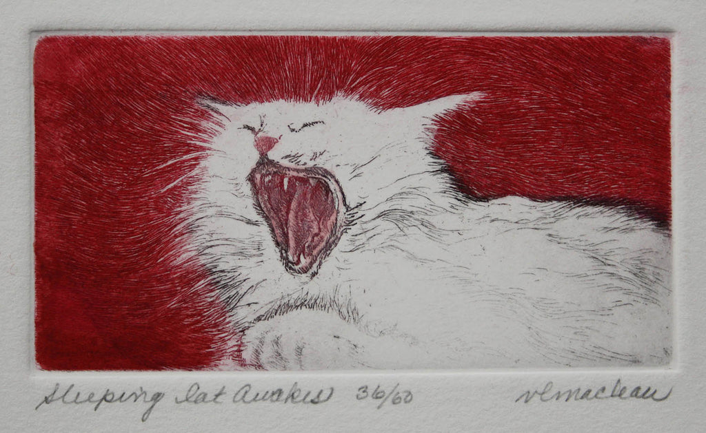 Vicki MacLean artwork 'Sleeping Cat Awakes' at Gallery78 Fredericton, New Brunswick