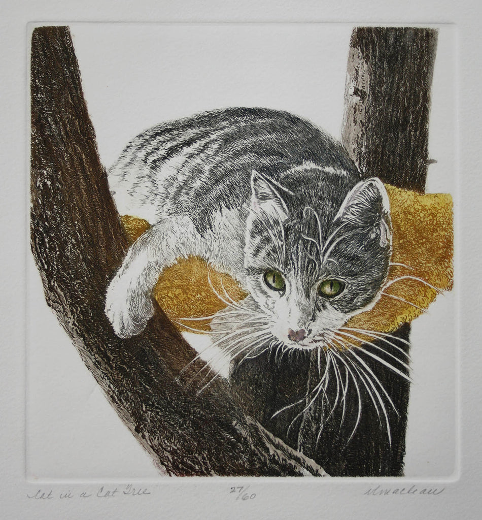 Vicki MacLean artwork 'Cat in Cat Tree' at Gallery78 Fredericton, New Brunswick