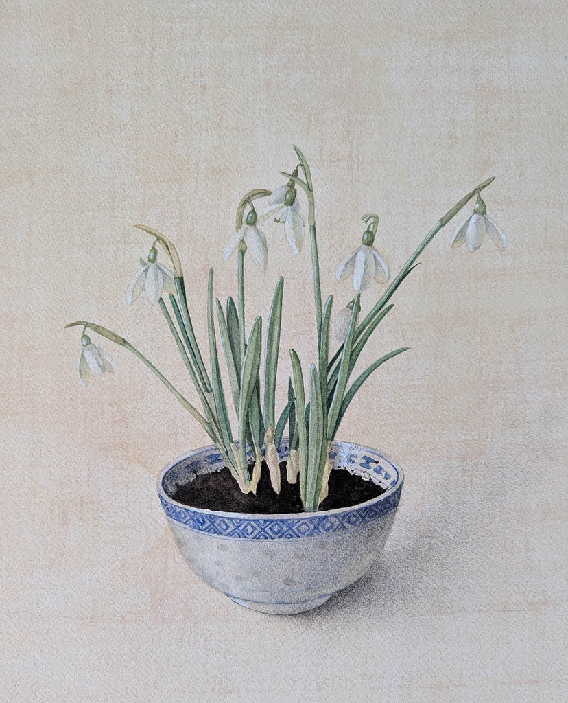 Cathy Ross artwork 'Snowdrops' at Gallery78 Fredericton, New Brunswick