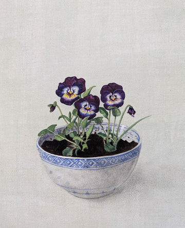 Cathy Ross artwork 'Pansies' at Gallery78 Fredericton, New Brunswick
