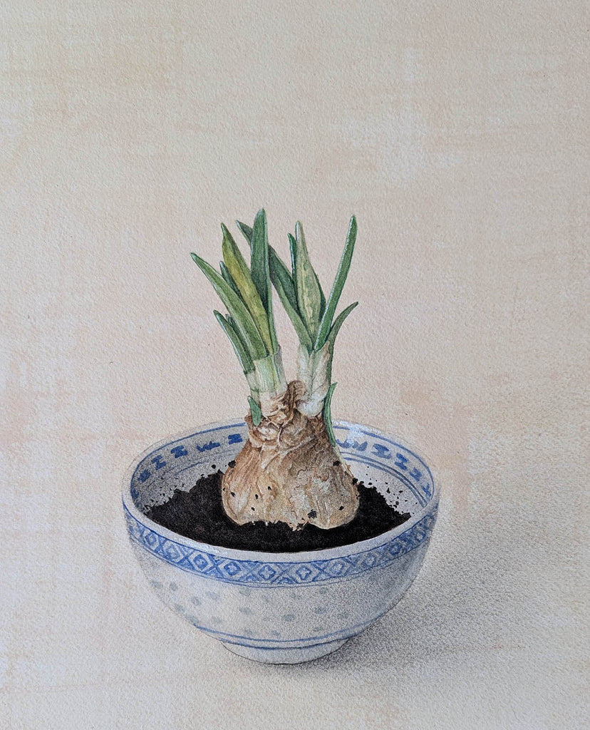 Cathy Ross artwork 'Daffodils' at Gallery78 Fredericton, New Brunswick