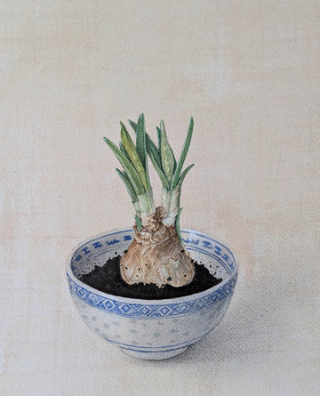 Cathy Ross artwork 'Daffodils' at Gallery78 Fredericton, New Brunswick