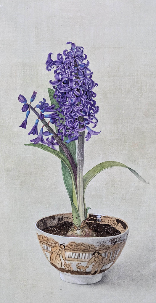 Cathy Ross artwork 'Hyacinth' at Gallery78 Fredericton, New Brunswick