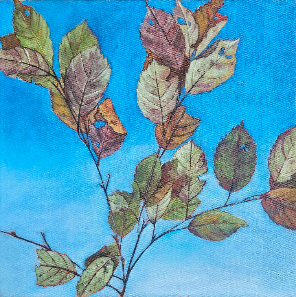 Amber Young artwork 'Leaf Study' at Gallery78 Fredericton, New Brunswick