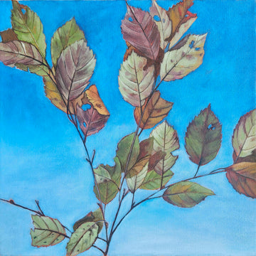 Amber Young artwork 'Leaf Study' at Gallery78 Fredericton, New Brunswick