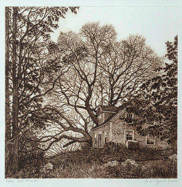 Anna Syperek artwork 'Old Friends' at Gallery78 Fredericton, New Brunswick