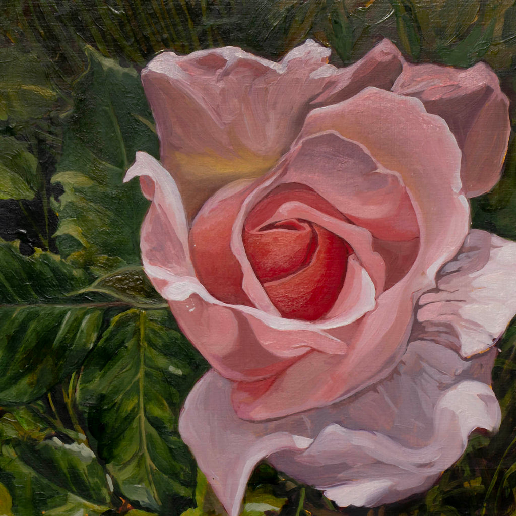 Diane Hiscox artwork 'Rose #1' at Gallery78 Fredericton, New Brunswick