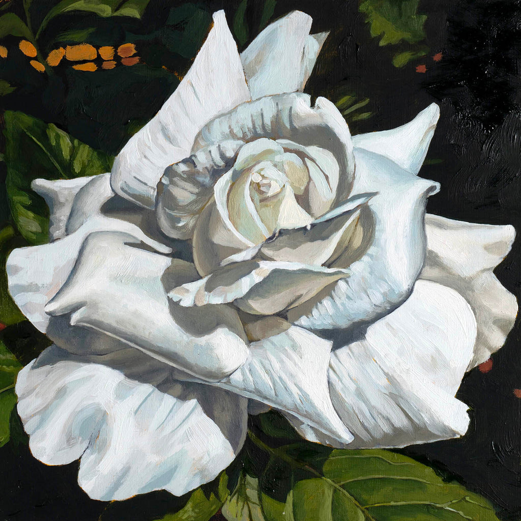 Diane Hiscox artwork 'Rose #7' at Gallery78 Fredericton, New Brunswick