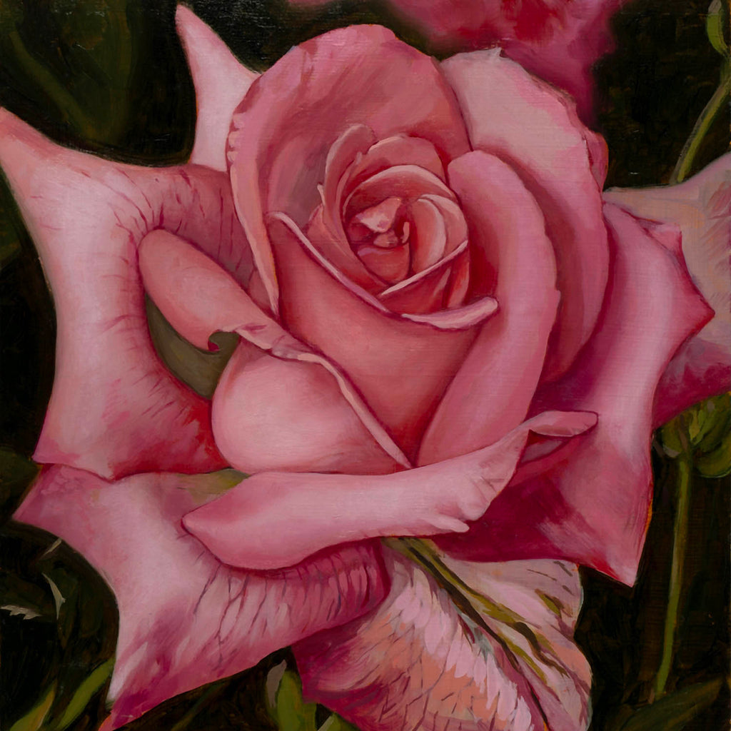 Diane Hiscox artwork 'Rose #9' at Gallery78 Fredericton, New Brunswick