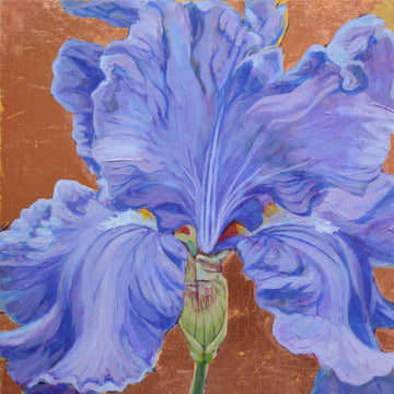 Diane Hiscox artwork 'Iris #5' at Gallery78 Fredericton, New Brunswick