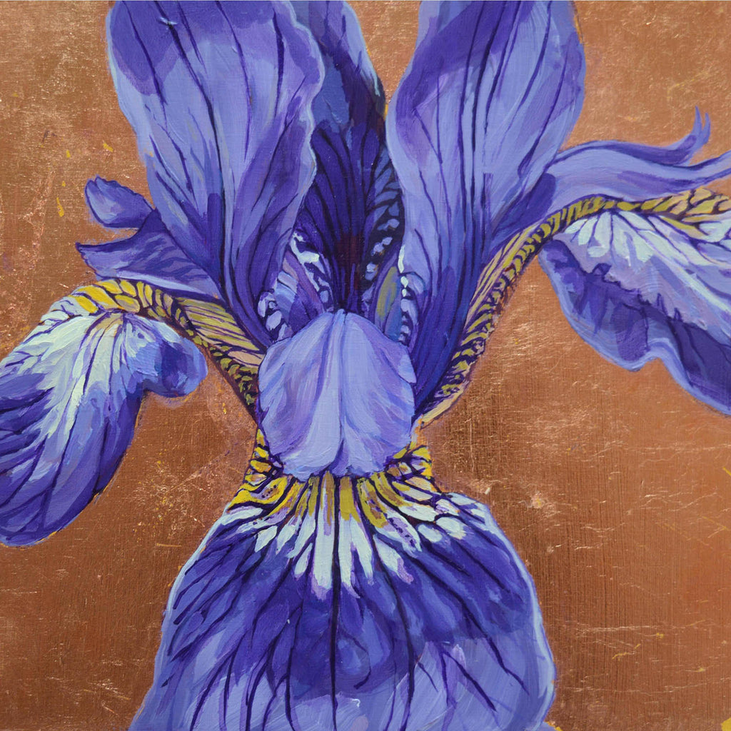 Diane Hiscox artwork 'Iris #12' at Gallery78 Fredericton, New Brunswick