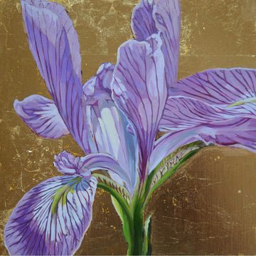 Diane Hiscox artwork 'Iris #22' at Gallery78 Fredericton, New Brunswick