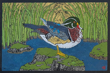 Christopher Harding artwork 'Wood Duck' at Gallery78 Fredericton, New Brunswick