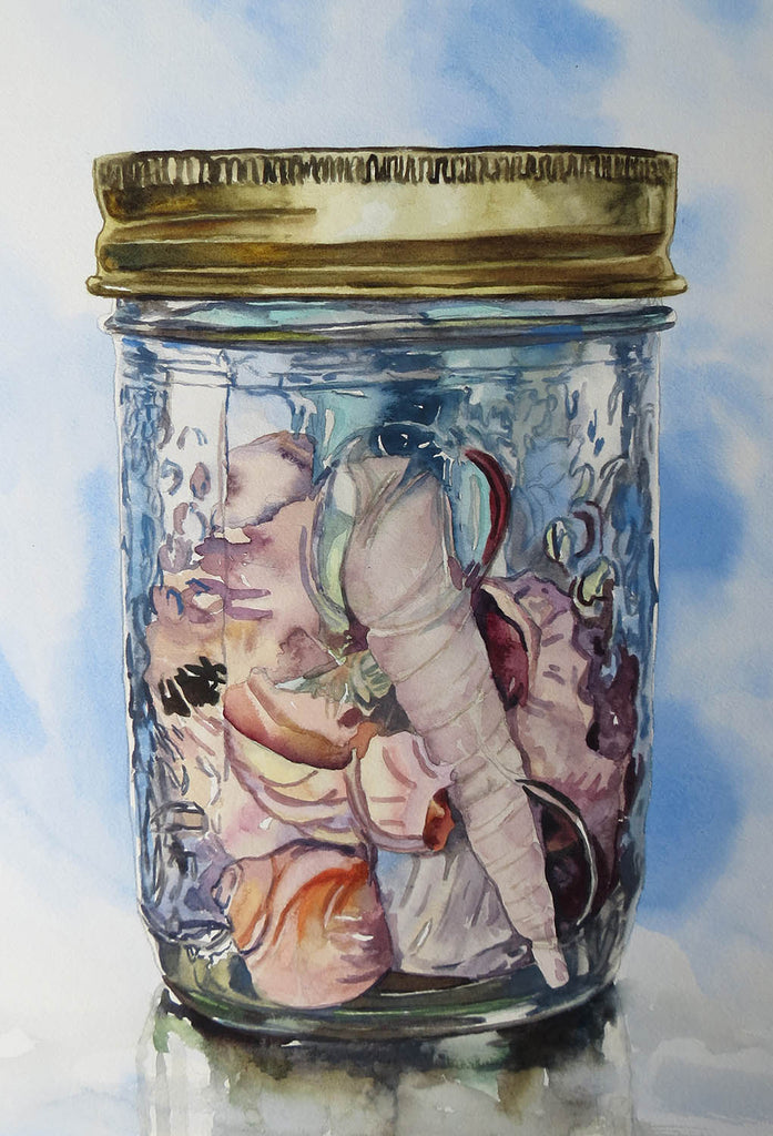 Andrew Henderson artwork 'Preserved Shore Finds' at Gallery78 Fredericton, New Brunswick