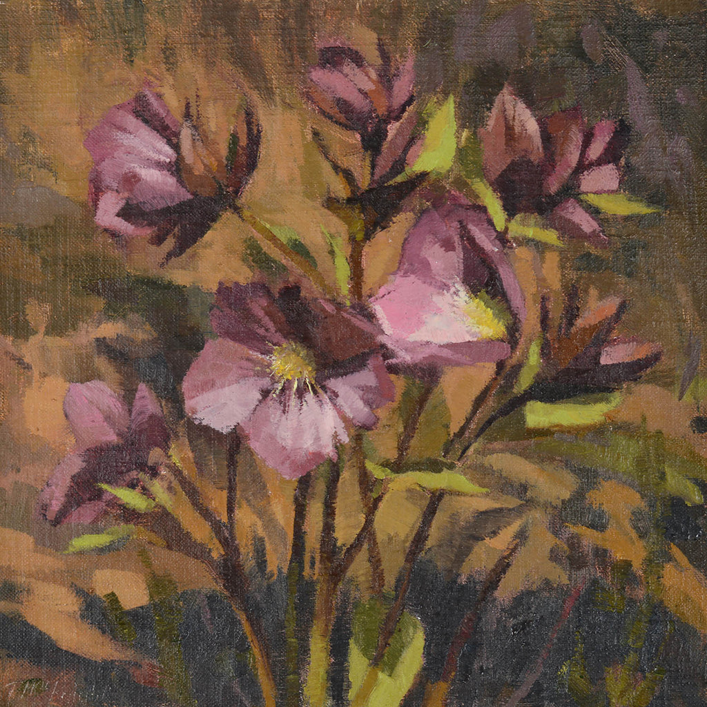 Theresa MacKnight artwork 'Christmas Rose in Spring, Kingsbrae' at Gallery78 Fredericton, New Brunswick