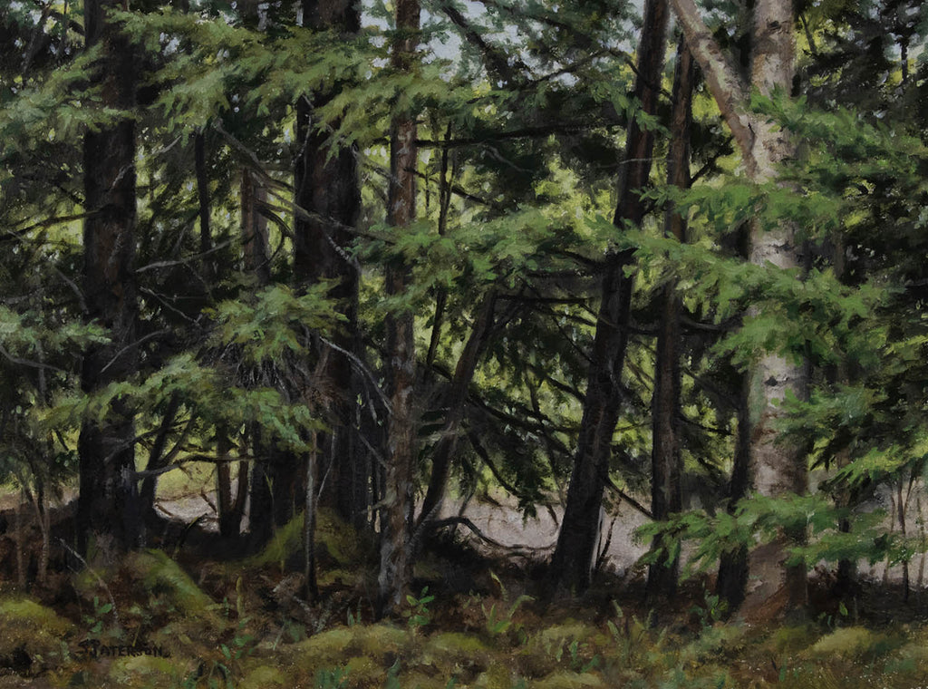 Susan Paterson artwork 'Tree Grove' at Gallery78 Fredericton, New Brunswick
